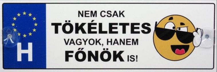 Tréfás Rendszámtábla Tökéletes főnök 05103